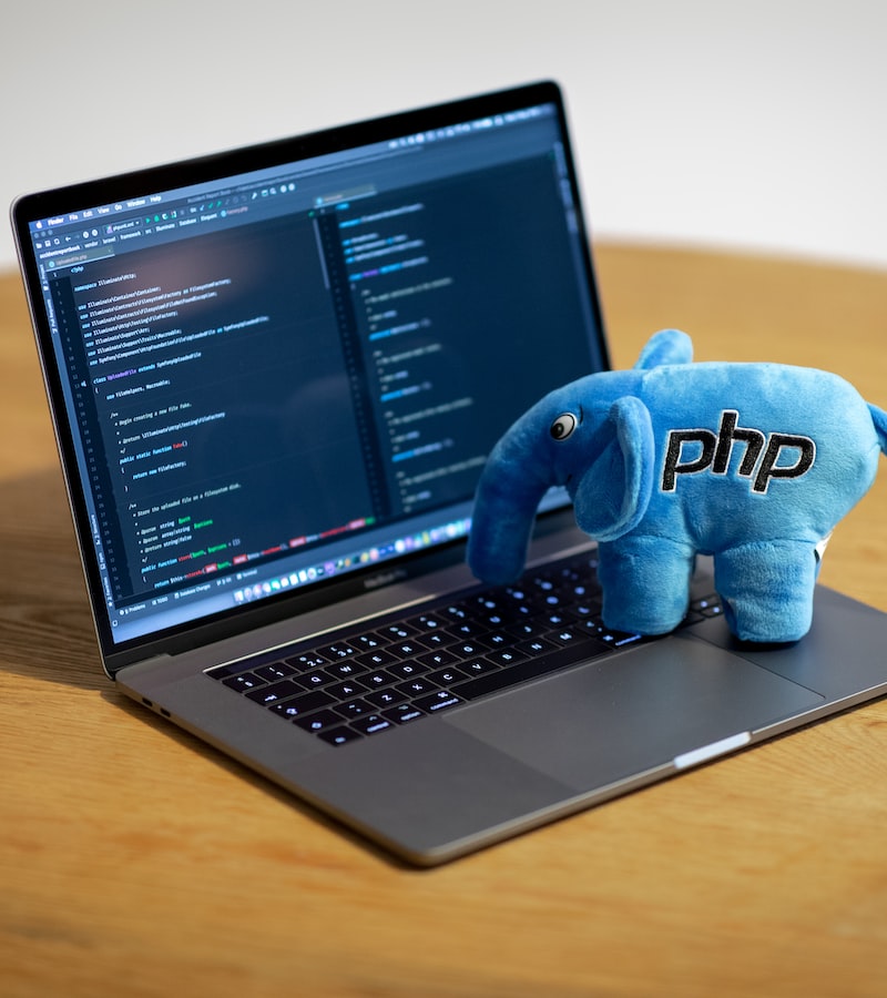 Custom PHP Development Services
